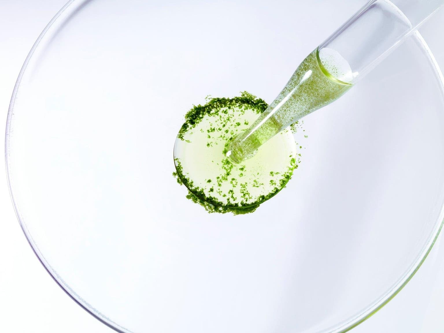 Chlorella Pipette